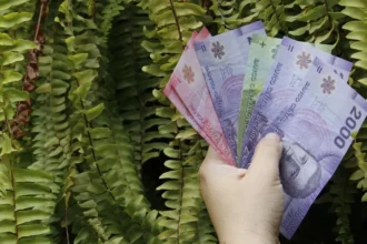 Apoyos estatales en Chile mejoran calidad de vida de adultos mayores