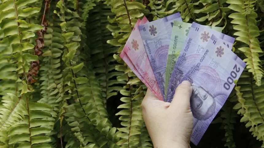 Apoyos estatales en Chile mejoran calidad de vida de adultos mayores