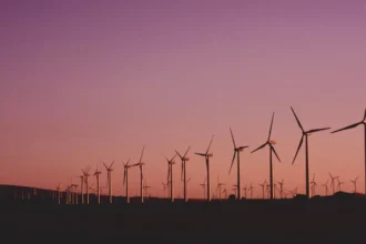 Construcción del Parque Eólico Las Fresias con una inversión de US$500 millones