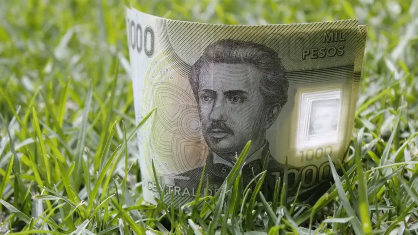 El Bono Logro Escolar en Chile: incentivos para estudiantes destacados