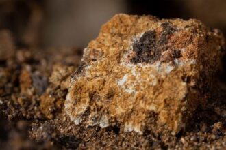 Chile destaca en extracción de tierras raras para motores eléctricos