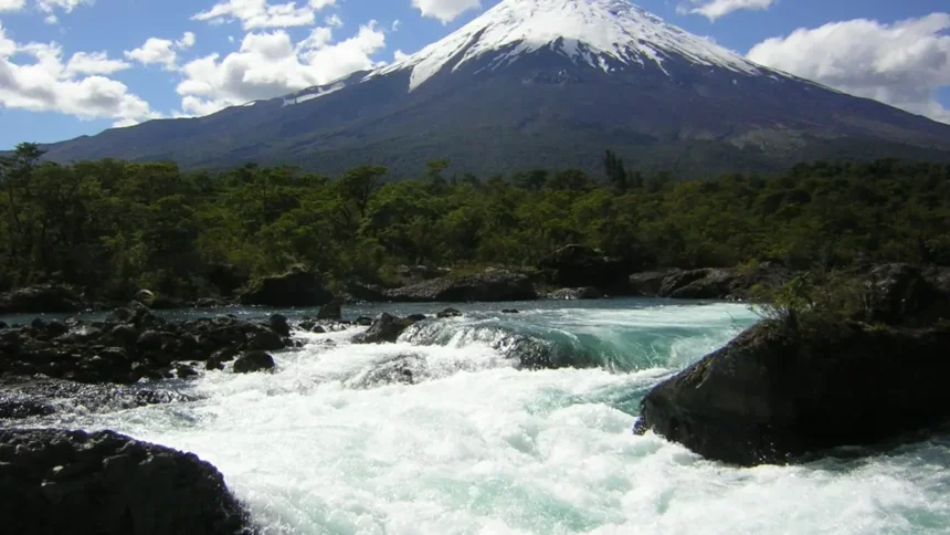 Crean protocolo para extracción de murtas en Parque Nacional Vicente Pérez Rosales
