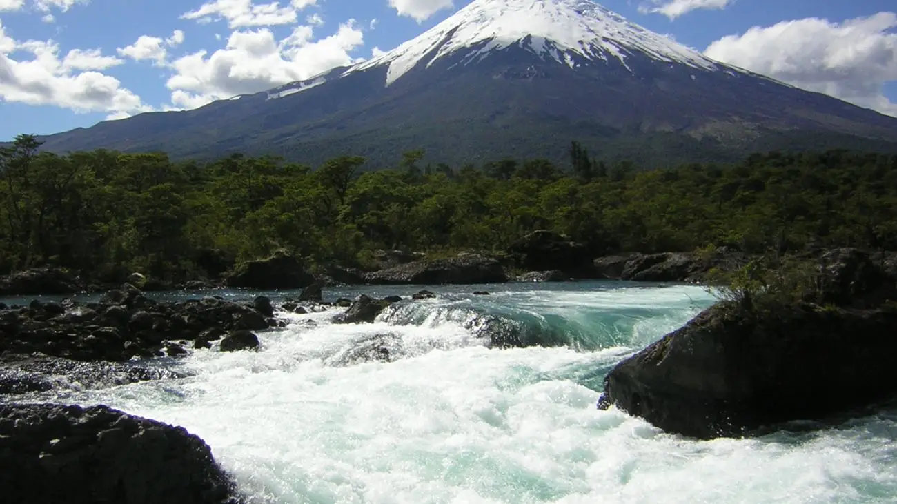 Crean protocolo para extracción de murtas en Parque Nacional Vicente Pérez Rosales