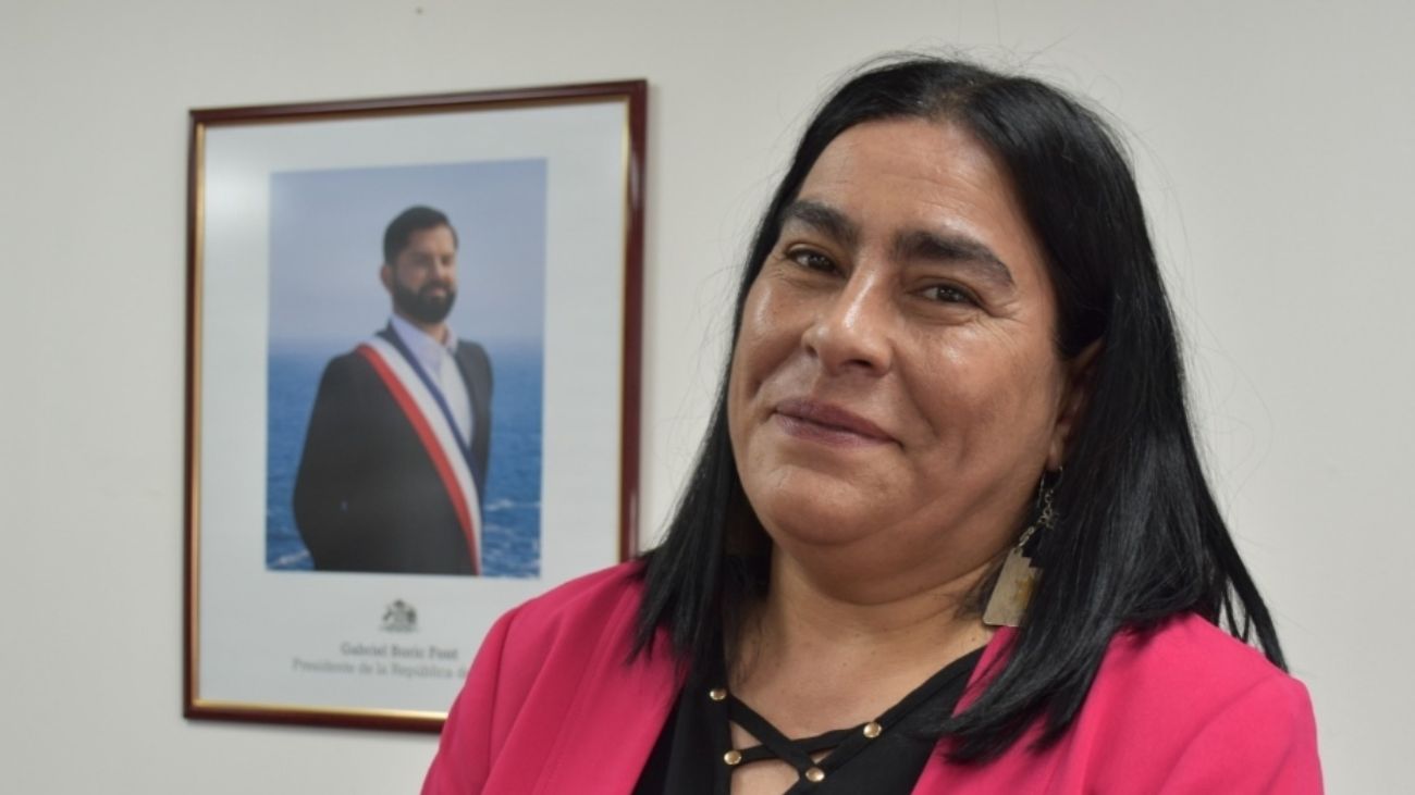 Gobierno se pronuncia sobre demanda de tutela laboral contra seremi de Educación