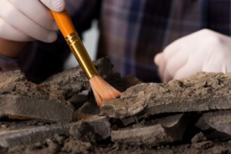 Consulta indígena terminada por hallazgos arqueológicos en Hospital de La Unión
