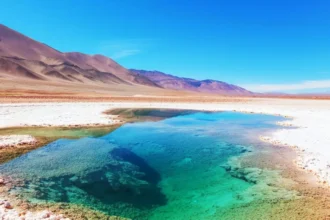 Codelco defiende asociación con SQM para explotación de litio en Salar de Atacama