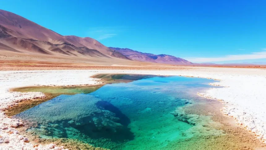 Codelco defiende asociación con SQM para explotación de litio en Salar de Atacama