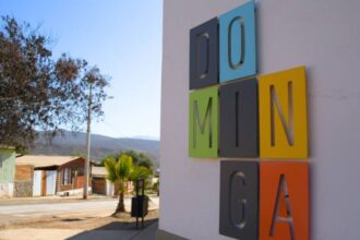 Repercusiones del Tribunal Constitucional en el caso Dominga: ¿Resolución dilatoria?