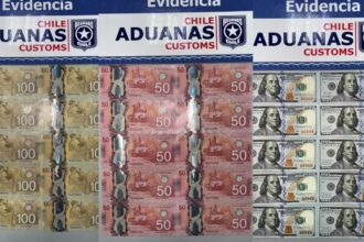 Descubren caja fuerte con US$14.000 no declarados en contenedor marítimo