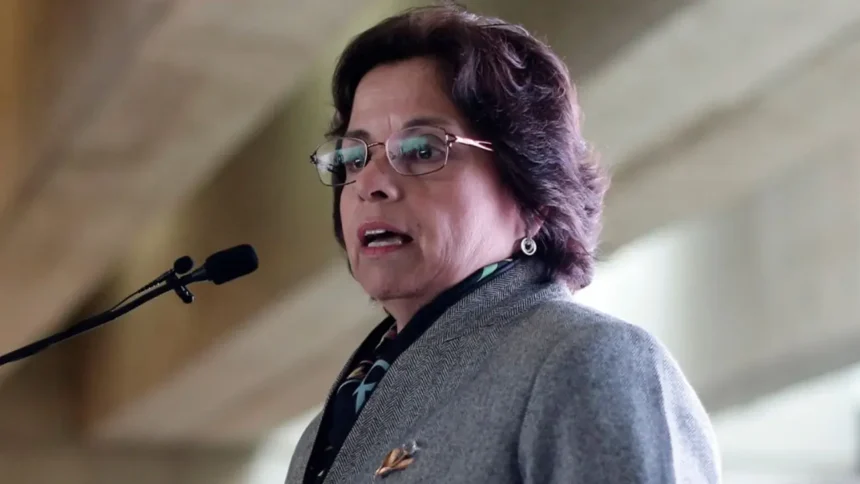 Chile aplica diplomacia comercial ante potenciales aranceles al cobre en EE. UU