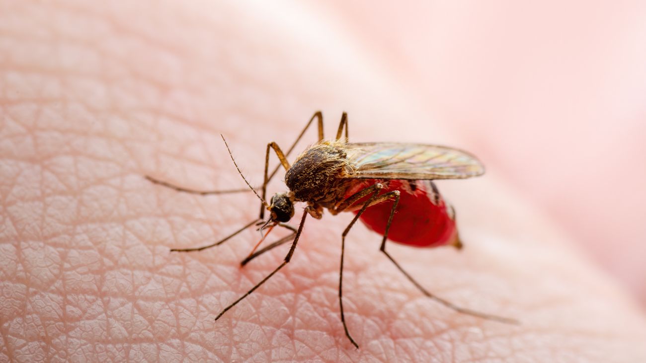 Emergencia sanitaria por brote de fiebre amarilla en Colombia