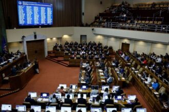 Aprobado por unanimidad el proyecto de ley para crear Sernafor