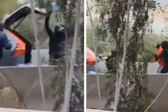 Intento de secuestro y robo frustrado en Quilicura: víctimas liberadas sin denuncia