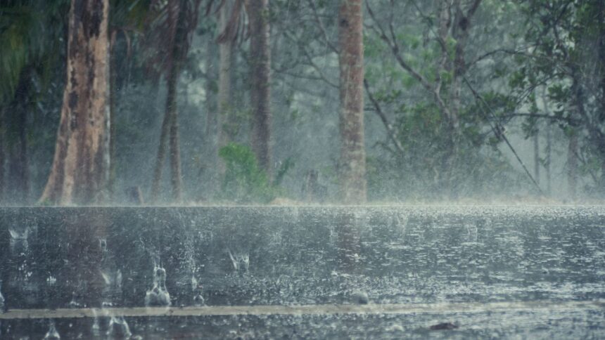 Lluvias en el Archipiélago de Juan Fernández y en Torres del Paine