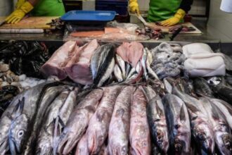 Fiscalización en Mercado Central de Santiago por aumento en consumo de pescado