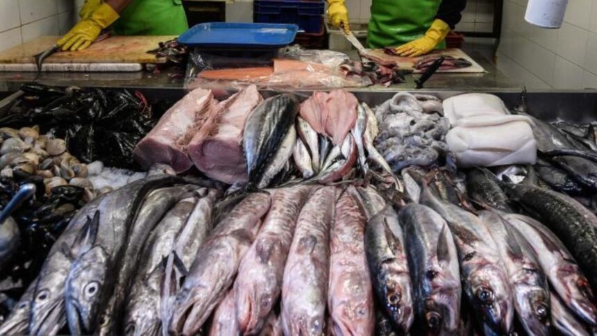 Fiscalización en Mercado Central de Santiago por aumento en consumo de pescado