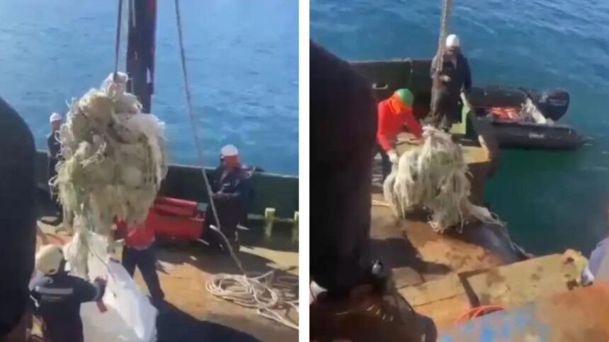 Familiares encuentran restos del "Bruma" en el barco "Cobra"