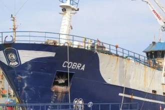 Querella contra capitán del Cobra por hundimiento de lancha artesanal