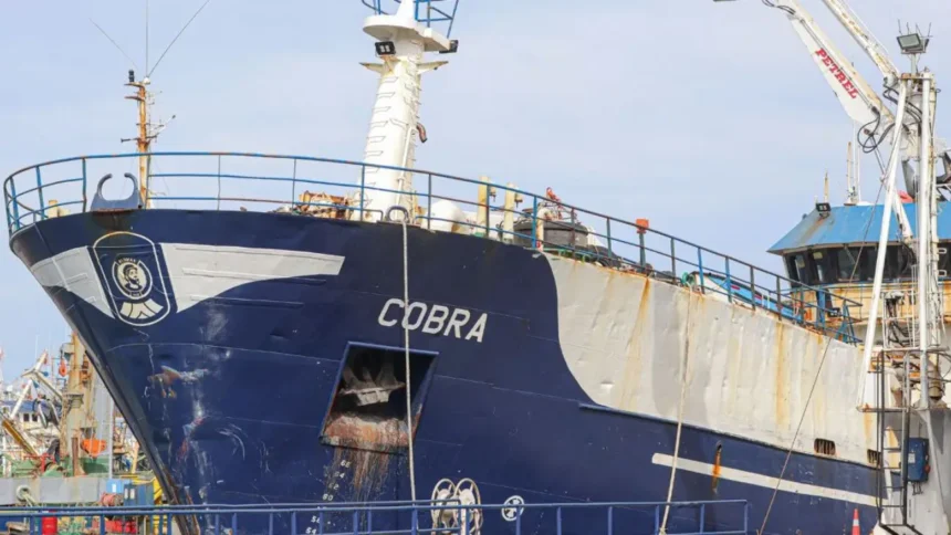 Querella contra capitán del Cobra por hundimiento de lancha artesanal