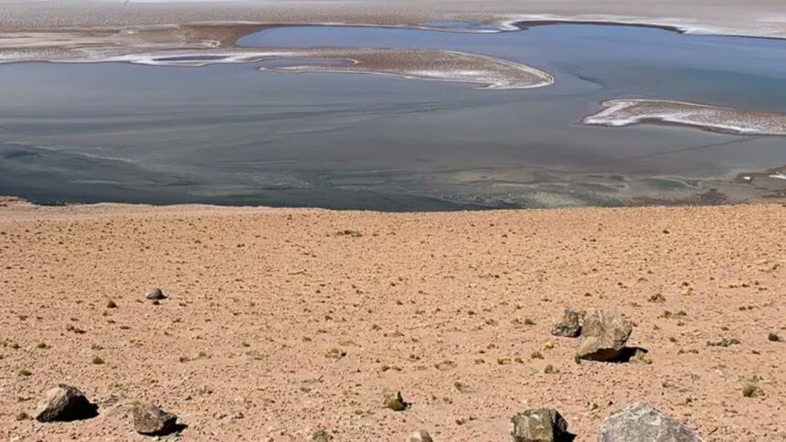 Resultados alentadores en el Proyecto Ascotan: hallan altas concentraciones de litio y boro