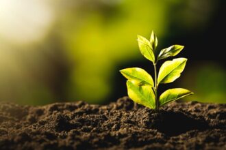 Oportunidades laborales en el Ministerio del Medio Ambiente de Chile