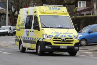 Investigan muerte por planta tóxica en Rinconada, Valparaíso: detalles impactantes