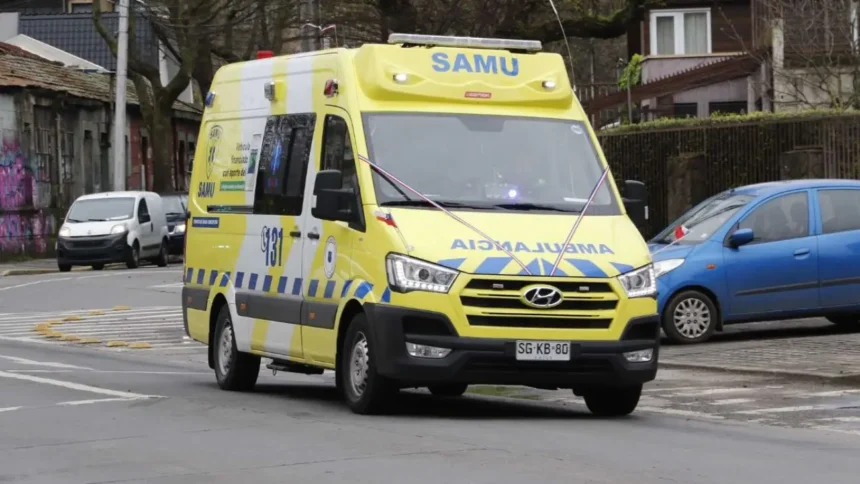 Investigan muerte por planta tóxica en Rinconada, Valparaíso: detalles impactantes