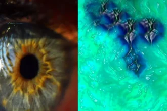 Descubrimiento del color "Olo": avance revolucionario en la ciencia del color