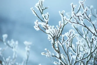 Se esperan lluvias y nieve en la Región Metropolitana esta semana