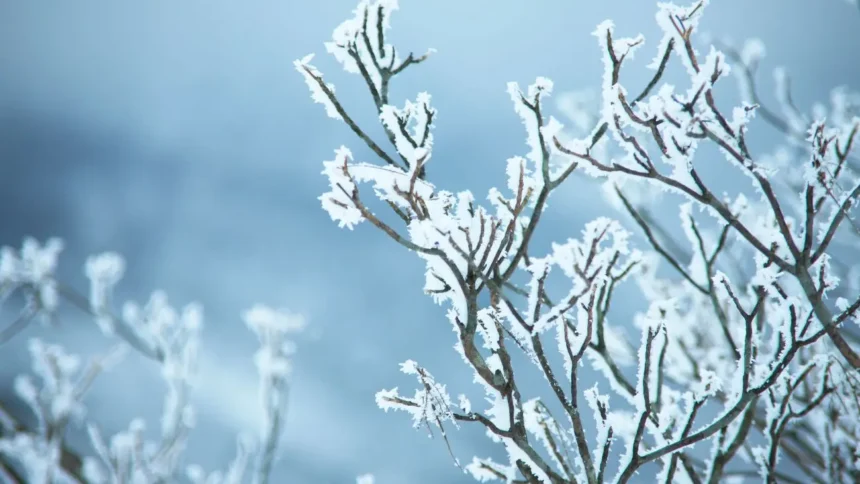 Se esperan lluvias y nieve en la Región Metropolitana esta semana
