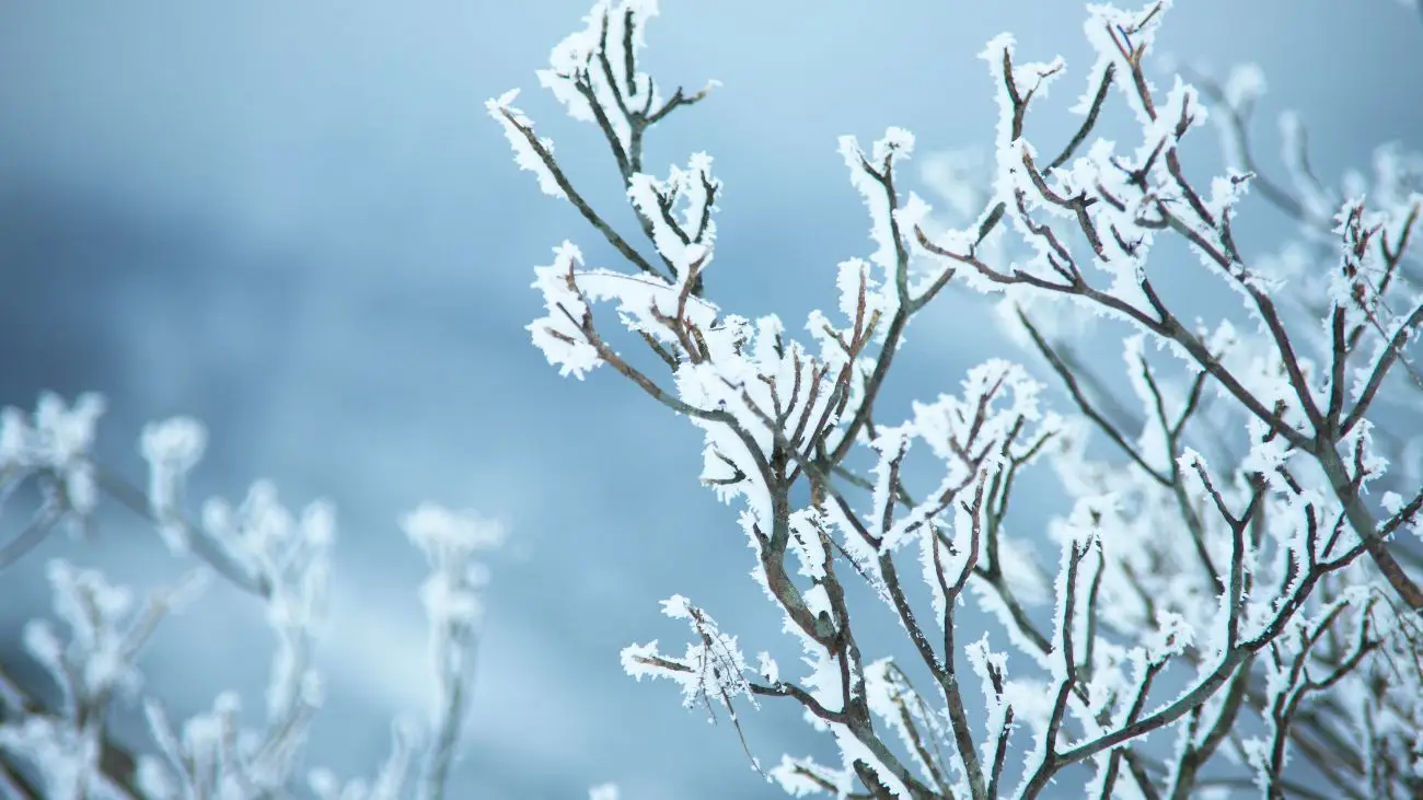 Se esperan lluvias y nieve en la Región Metropolitana esta semana