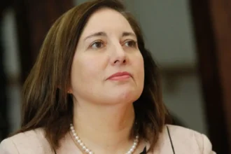 Propuestas de Vodanovic para enfrentar crisis de seguridad en Chile