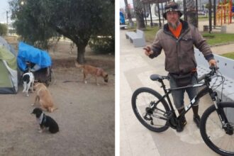 Argentino recorre Sudamérica en bicicleta con cinco perros como compañeros