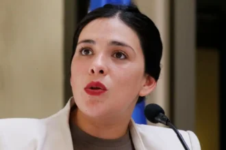 Diputada Karol Cariola acude a la CIDH por presunto tráfico de influencias