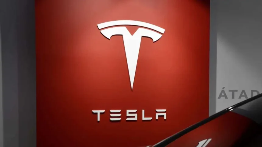 Elon Musk se enfoca en Tesla ante desafíos financieros y reacciones adversas