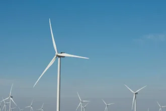 Proyecto Parque Eólico Las Fresias en Chile generará hasta 310 MW de potencia