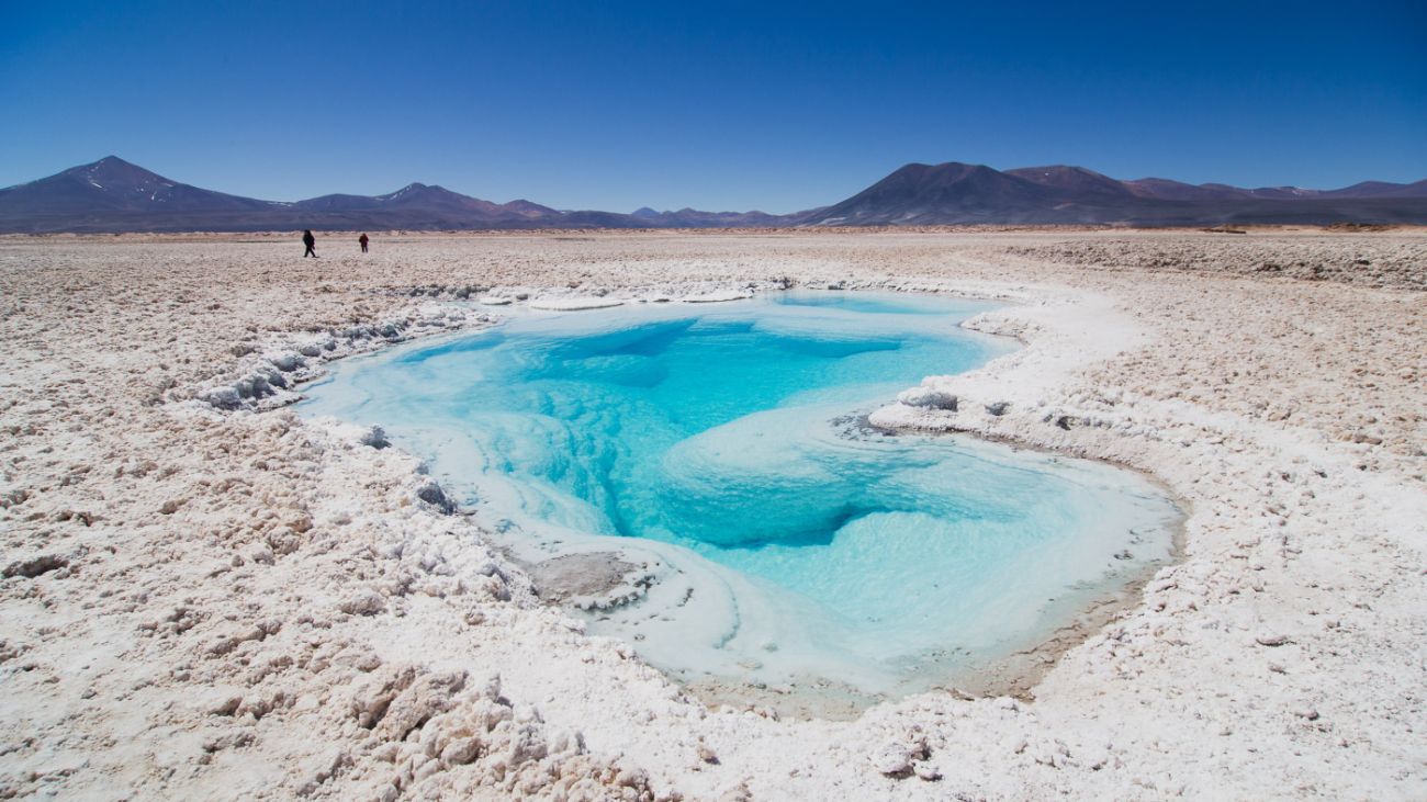 Aprobación de la FNE para alianza entre Codelco y SQM en Salar de Atacama Aprobación de la FNE para alianza entre Codelco y SQM en Salar de Atacama