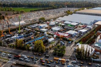 Colaboración internacional en Expomin 2025: Australia, Canadá y Nueva Zelanda destacan en el evento