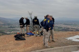 Restos humanos en Cuesta Barriga: posibles delitos relacionados con estudios biomédicos