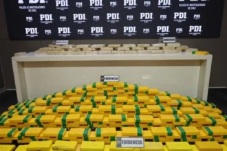 Desarticulada organización criminal que traficaba drogas desde Bolivia a Chile
