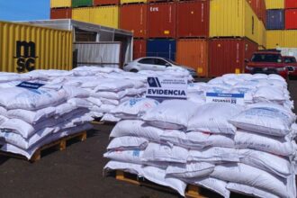 Hallazgo de 216 toneladas de químicos en Iquique impacta narcotráfico