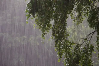 Se pronostican lluvias en varias regiones de Chile este fin de semana