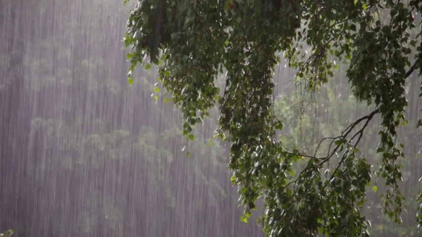 Se pronostican lluvias en varias regiones de Chile este fin de semana