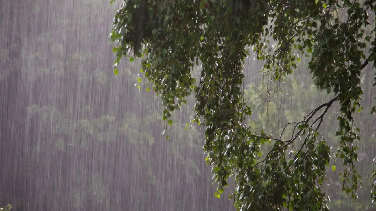 Se pronostican lluvias en varias regiones de Chile este fin de semana Se pronostican lluvias en varias regiones de Chile este fin de semana