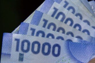 Cómo mejorar tu pensión en Chile con el Bono por Hijo