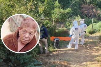 Hallan cuerpo de mujer desaparecida en Valparaíso: Detalles del operativo de búsqueda