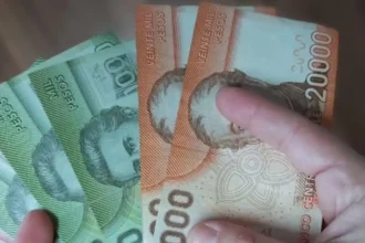 Bono Post Laboral: beneficio vitalicio para trabajadores públicos en Chile