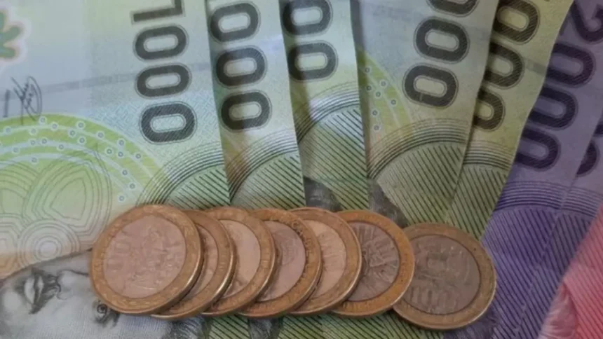 Bonos y Subsidios Estatales para Mujeres: ¡Aún Puedes Recibirlos en Abril!