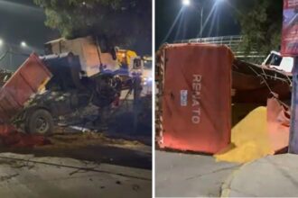 Camión argentino se vuelca en Ruta 5 por alcohol al volante