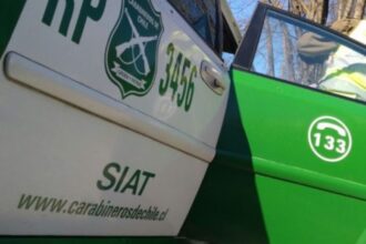 Tragedia en Río Bueno: Hombre fallece en choque contra árbol